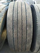 TyRex. �����������, 2019 ���, �/�, ����� 30�% ����