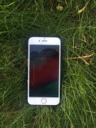 Apple iPhone 6. �/�, 16 ��, ����� ����
