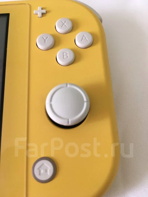 Nintendo Switch Lite ����