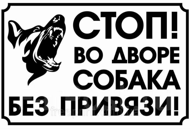 Геншин осторожно злая собака