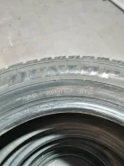 Duneor, R 15 195/65. ������, ��� �����, �/�, ����� 30�% ����