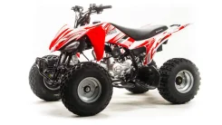 Motoland ATV 125S. ��������, ��� ���\���, ��� ������� ����