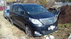 Toyota Alphard. ��������, ������ ����