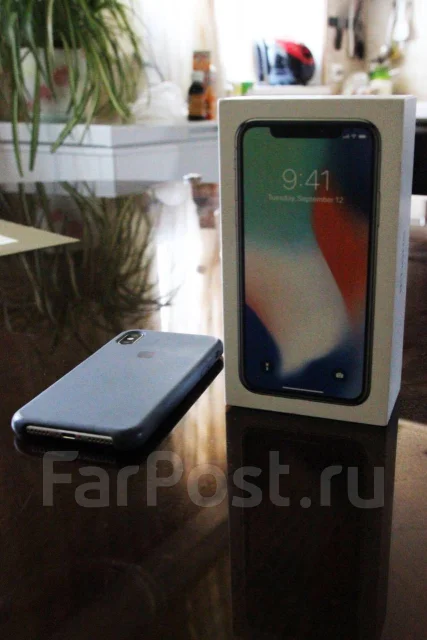 Apple iPhone X. �/�, �����, 3G, 4G LTE ����