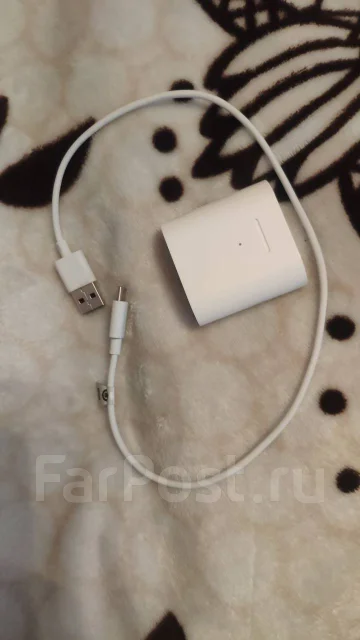 Xiaomi AirDots ����