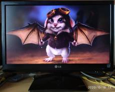 LG. 20" 