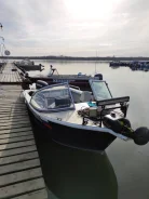 Quintrex. ��������� ���������, 60��.�., ������ ����