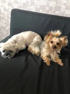 ��-���. ����