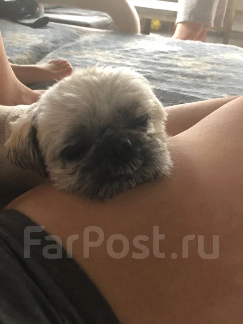 ��-���. ����
