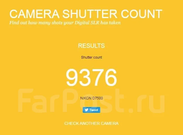 Nikon D7500. 20 � ����� ��, ���: 7� ����