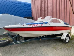 ������� Favorit-480. 2010 ���, ����� 4,8��., ��������� ���������, 80��.�., ������ ����