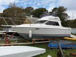 Bayliner. 1998 ���, ����� 8��., ��������� ������������, 250��.�., ������ ����