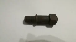 �������. ����