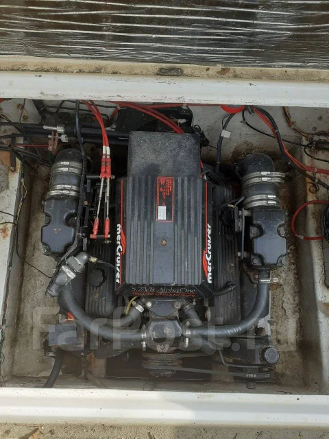 Bayliner. 1998 ���, ����� 8��., ��������� ������������, 250��.�., ������ ����