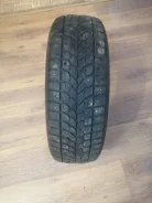 Bridgestone Winter Radial WT-17. ������, ����������, �/�, ����� 50�% ����