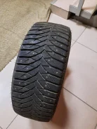 Triangle PS01. ������, ����������, 2018 ���, �/�, ����� �� 5 % ����