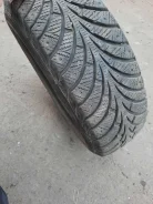 Dunlop SP 175. ������, ����������, 2017 ���, �/�, ����� 50�% ����