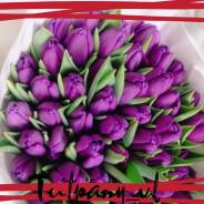 ��������. ����