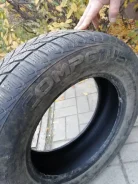 Lassa Competus Winter. ������, ��� �����, �/�, ����� 20�% ����