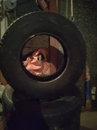 Goodride SW608. �����������, 2011 ���, ����� ����