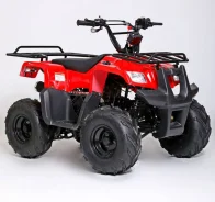 Motoland Rider 110. ��������, ��� ���\���, ��� ������� ����
