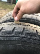 Triangle TR787. ������, ��� �����, 2019 ���, �/�, ����� 50 % ����