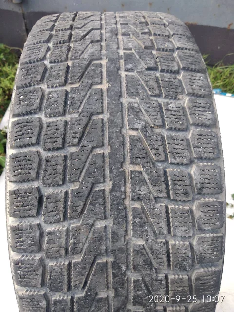 Yokohama Guardex F721. �����������, �/�, ����� 60 % ����
