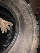 Bridgestone Winter Radial WT-14. ������, ��� �����, �/�, ����� 40�% ����