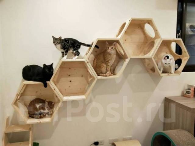 домик для кошки соты