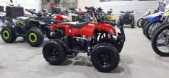 Motoland Rider 110. ��������, ��� ���\���, ��� ������� ����
