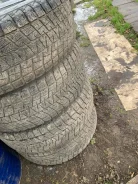 Bridgestone Winter Radial WT-17. ������, �/�, ����� 20�% ����