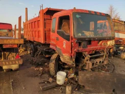 ������ ����� ��������. Foton Auman ����