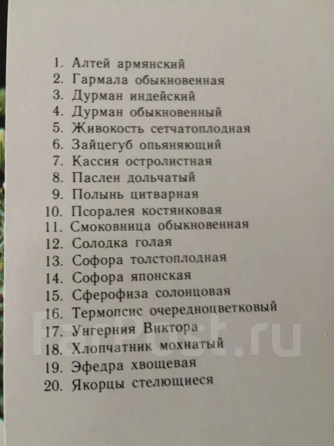 ����� �������� "������ ������" ����
