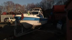 Yamaha Fish 24. 1986 ���, ����� 7,3��., ��������� ���������, 115��.�., ������ ����