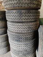 TyRex. �����������, 2019 ���, �/�, ����� 40�% ����