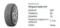 Roadstone Winguard WinSpike SUV. ������, ����������, 2020 ���, ����� ����