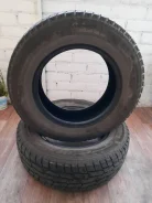 Jinyu. ������, ��� �����, 2019 ���, �/�, ����� 20 % ����
