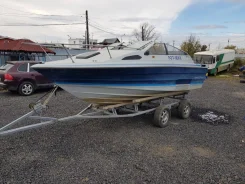 Bayliner. 1990 ���, ��������� ������������, ������ ����