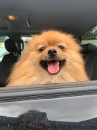 ����. ����