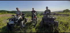 ������ ������������. ����