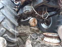 ��� 66 ���� � �������, 1998 ����