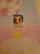 ����� ���� 1985 ��� ����� ����