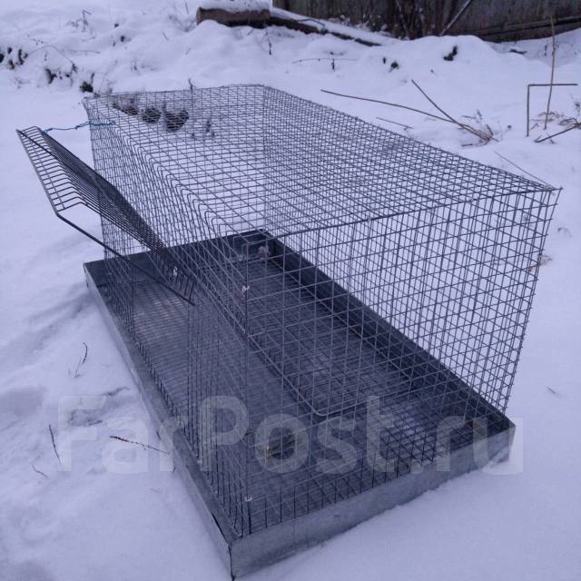 клетка для грызунов хабаровск