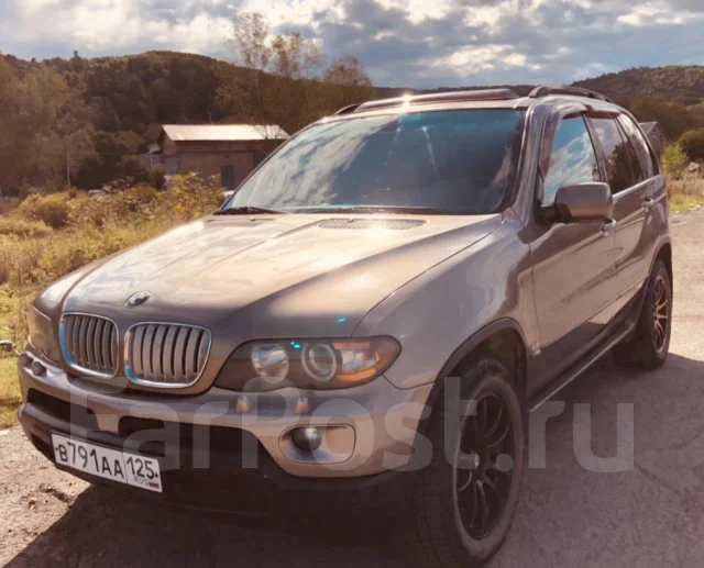 BMW X5. �������, 4wd, 4.4 (320��.�.), ������, 250 000����. �� ����