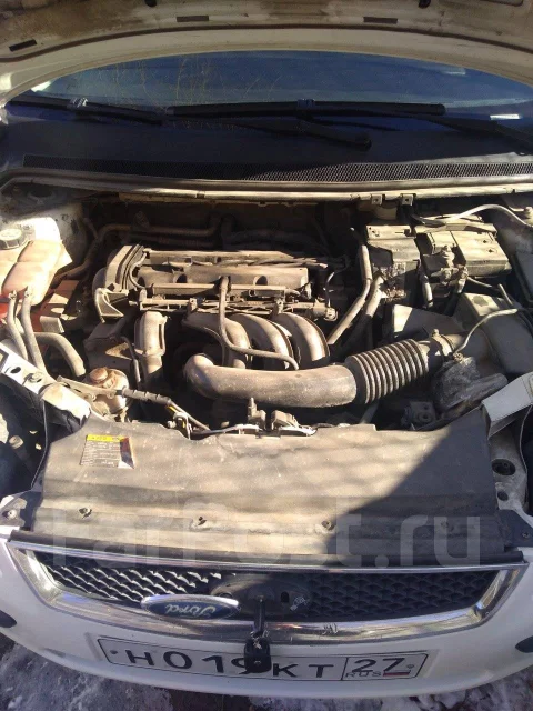 Ford Focus. ��������, ��������, 1.4 (80��.�.), ������, 316����. �� ����