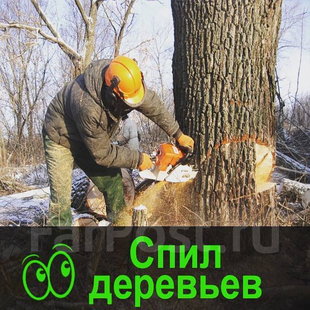 Спил деревьев через госуслуги. Спил деревьев реклама. Спил деревьев объявление. Спил деревьев демонтаж. Вырубка деревьев Ставрополь.