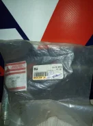 ���� MF241286 MF241286 ����