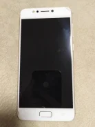 Asus ZenFone 4 Max ZC520KL. �/� ����