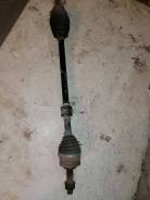 ������ �������� R N. Expert 11 ����