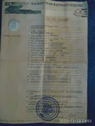 Suzuki Aerio ����
